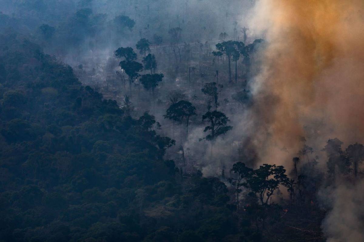 Imagem colorida de fogo na Amazônia