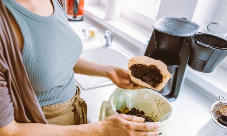 Borra de café como adubo de plantas funciona mesmo? Saiba a verdade