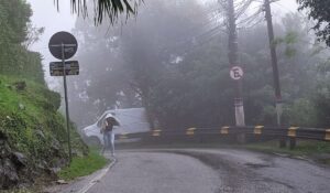 Ao vivo - Cidade Alerta SC