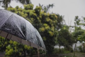 Nesta quarta (16), 100 mil imóveis continuam sem energia em São Paulo por causa do apagão que aconteceu após chuva e vendaval de sexta (11) - Metrópoles