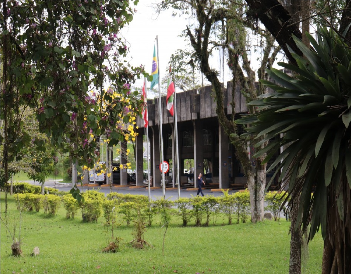 Ao vivo - Balanço Geral Florianópolis