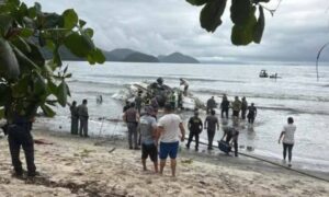 Avião acidentado em Ubatuba, SP