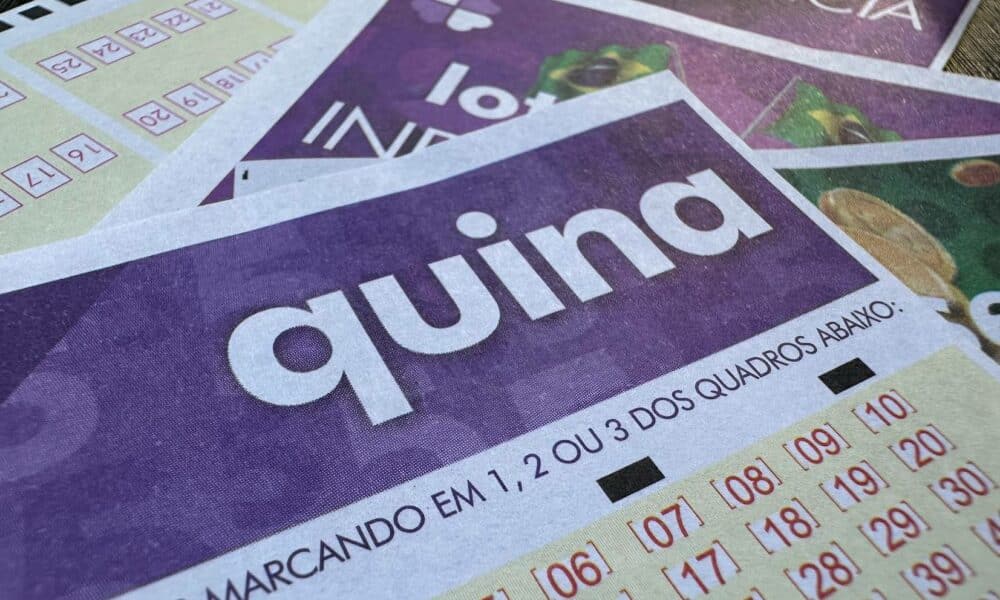 quina aposta loterias caixa