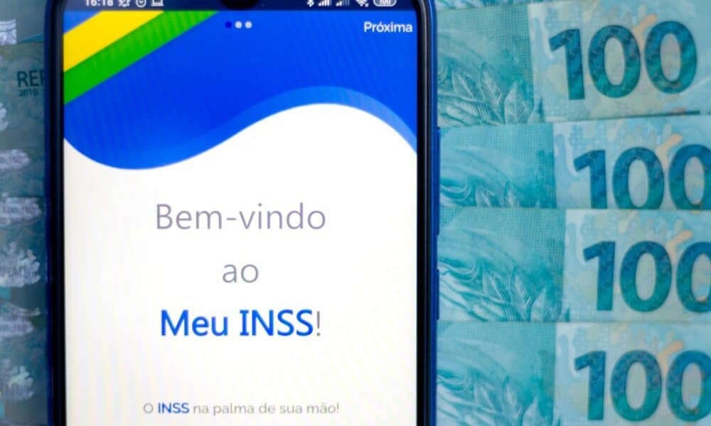 meu inss app governo federal