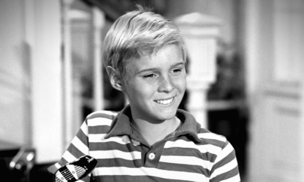 Jay North